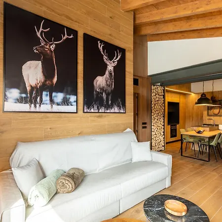 Cases Cerdanya Mountain Residences
